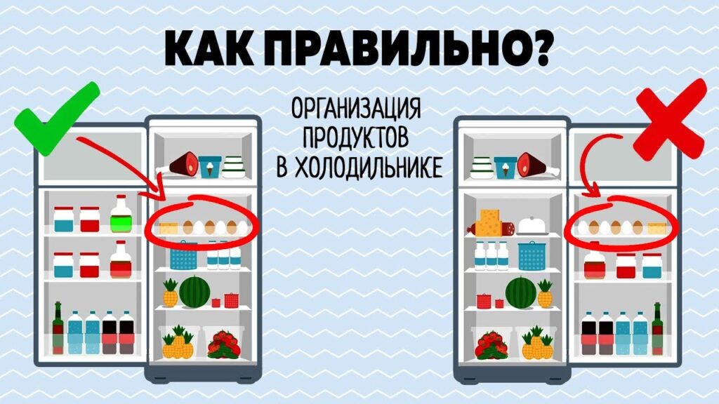 Как хранить продукты в холодильнике? 4 основных правила